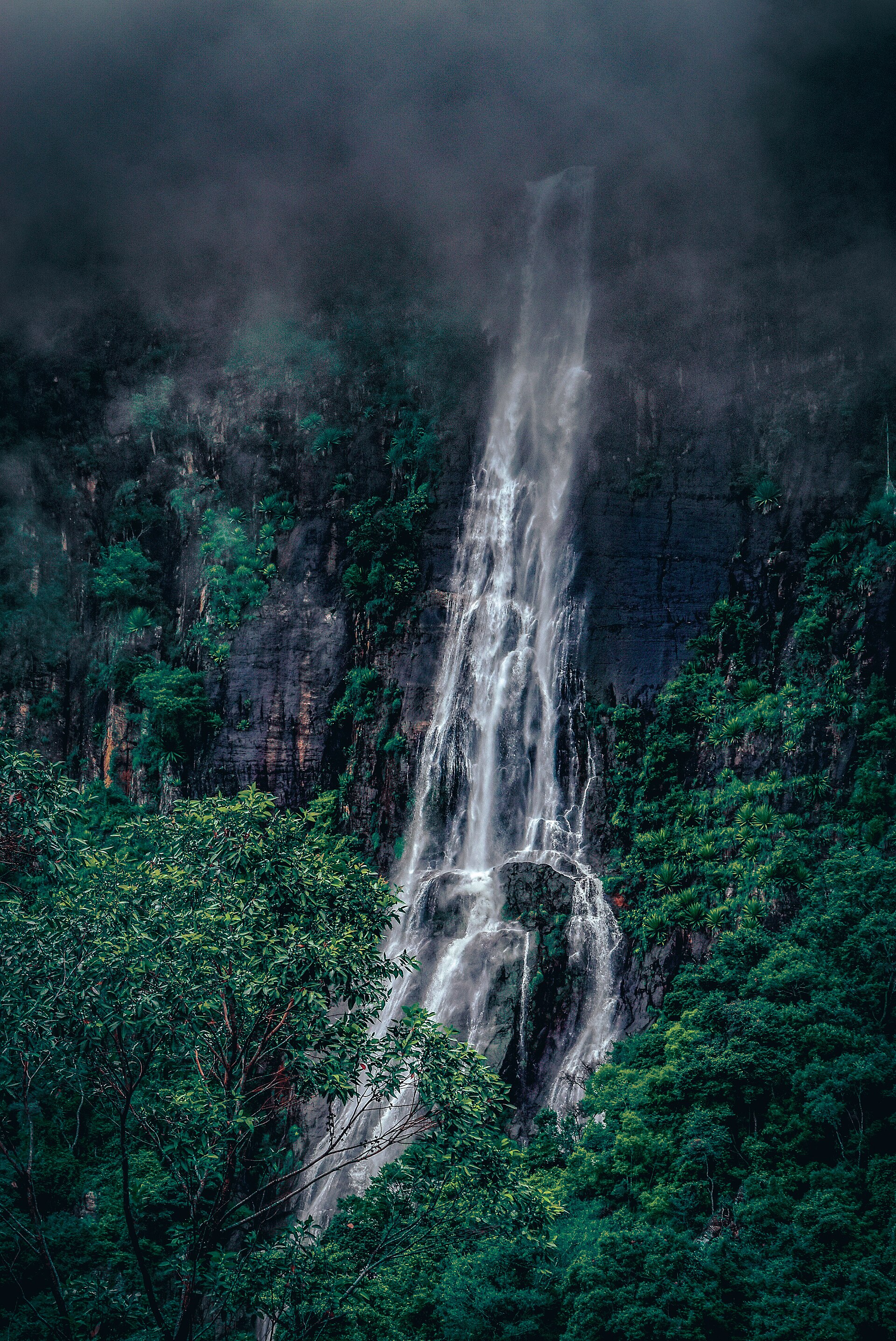 Bambarakanda Falls dropping down a dark cliff face through dense green forest in Sri Lanka.