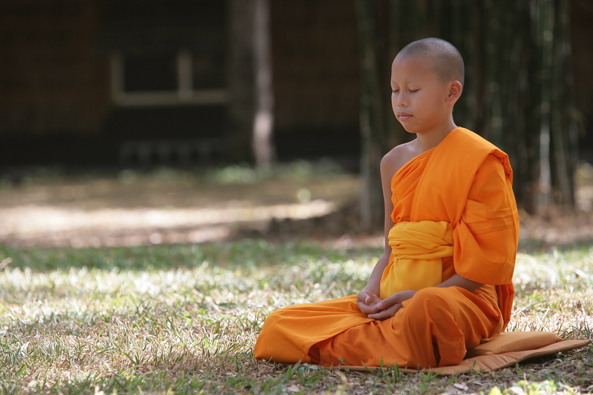 A robed novice sitting in meditation on a forest floor.